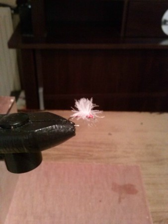 cul de canard corps rouge