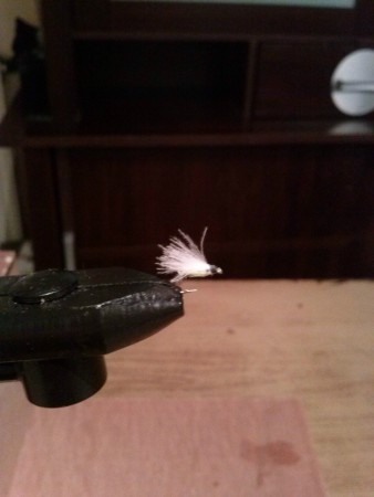 cul de canard corps jaune