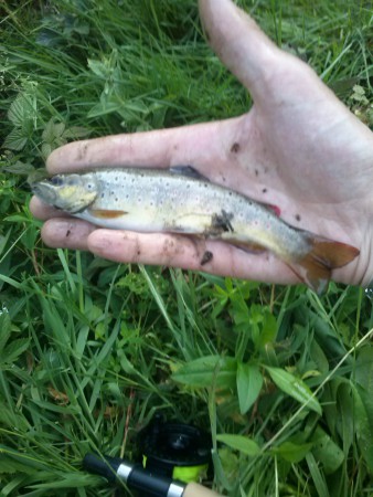 Truite prise en fin de journèe