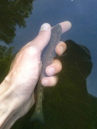 Retour a la libertèe