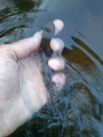 La deuxième au 23/07/2015 au soir